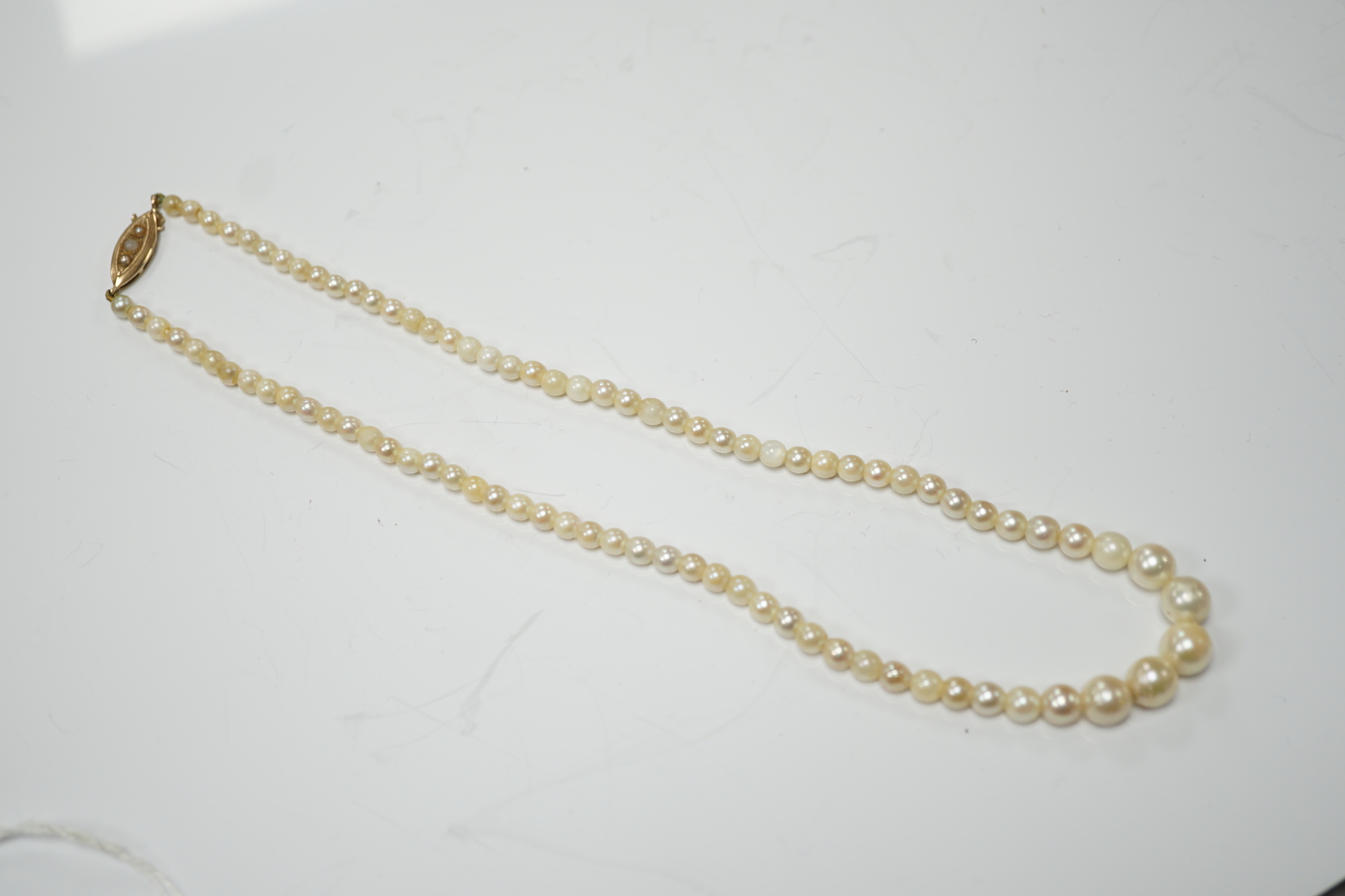 A single strand graduated cultured pearl necklace, with 9ct gold and cultured pearl set clasp, 40cm.